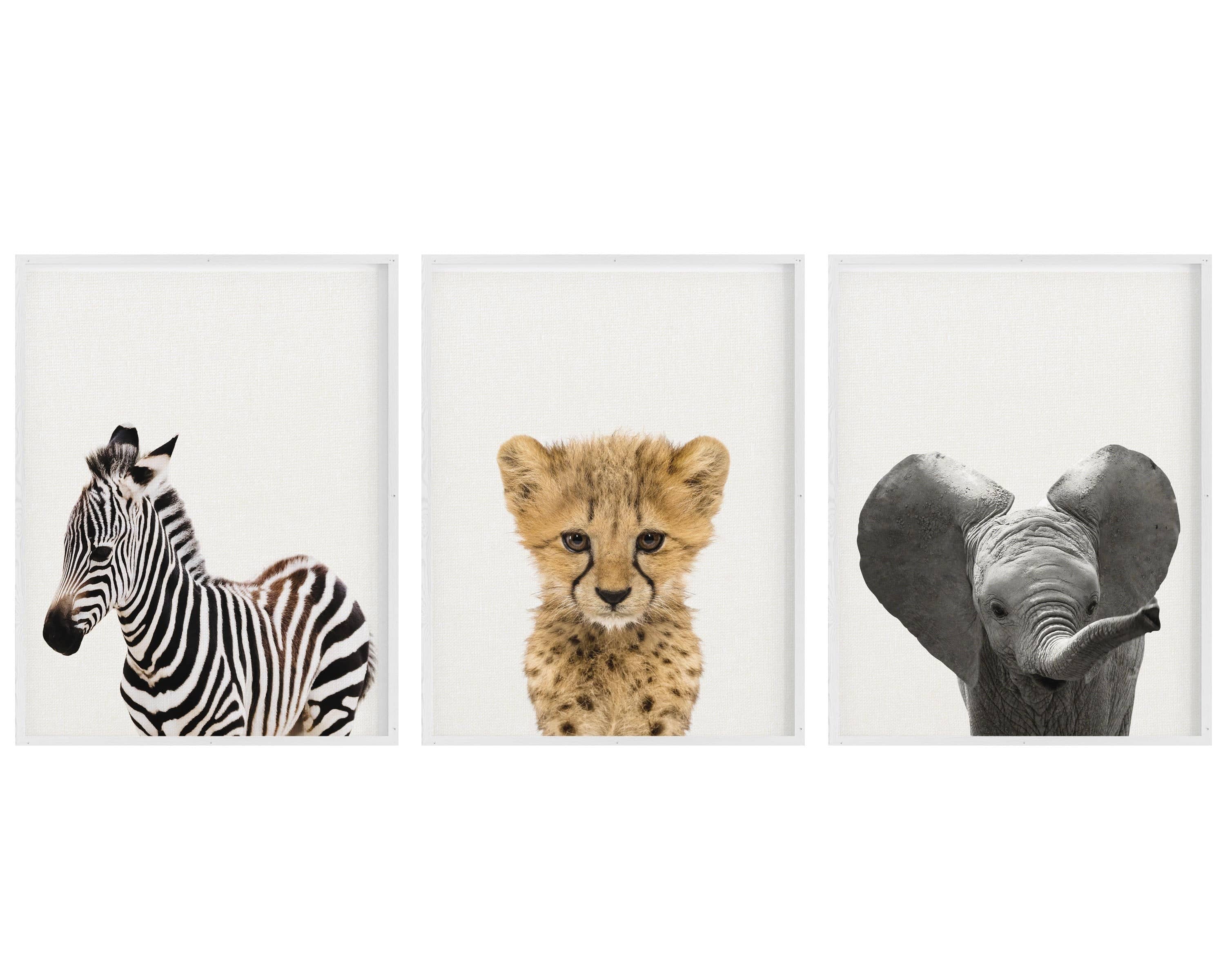 Animal canvas for sales nursery